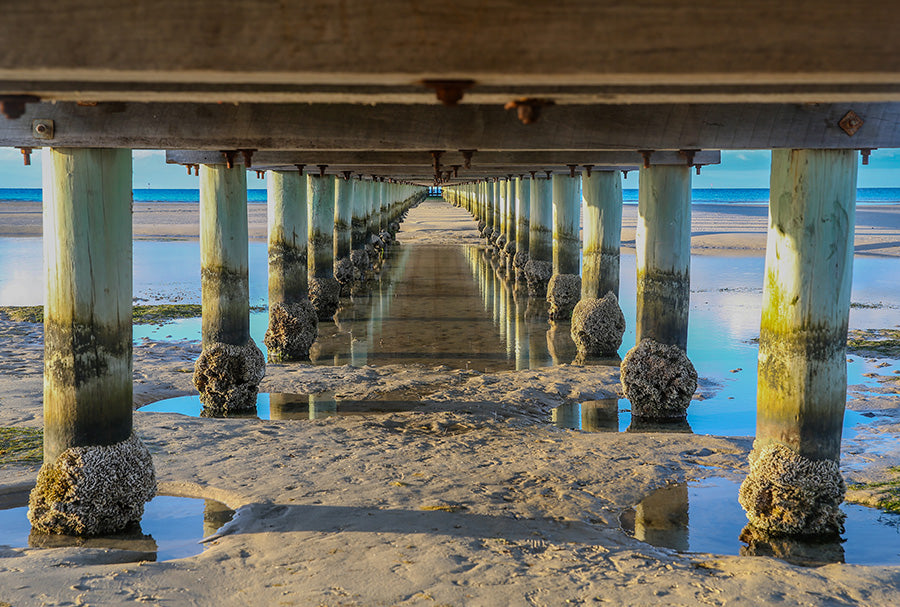 Rosebud Pier