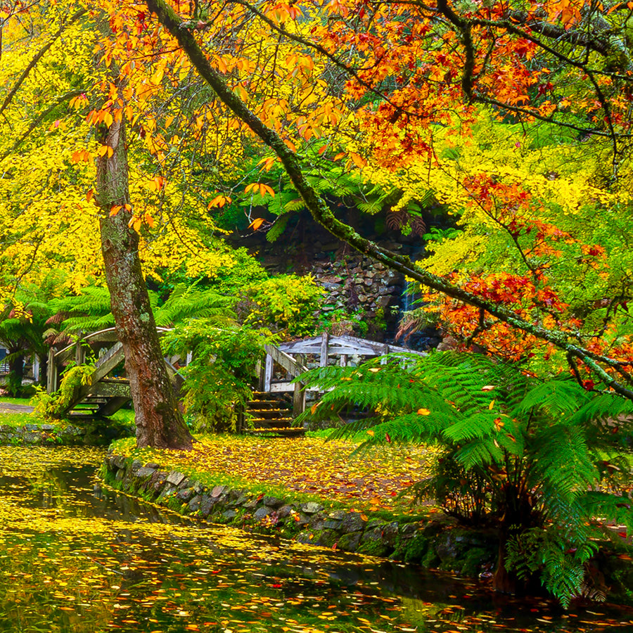 Alfred Nicholas Memorial Garden