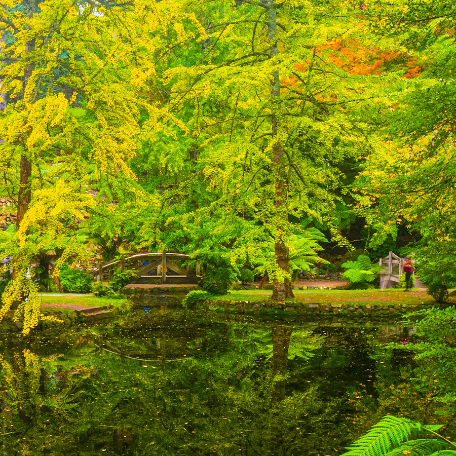 Alfred Nicholas Memorial Garden