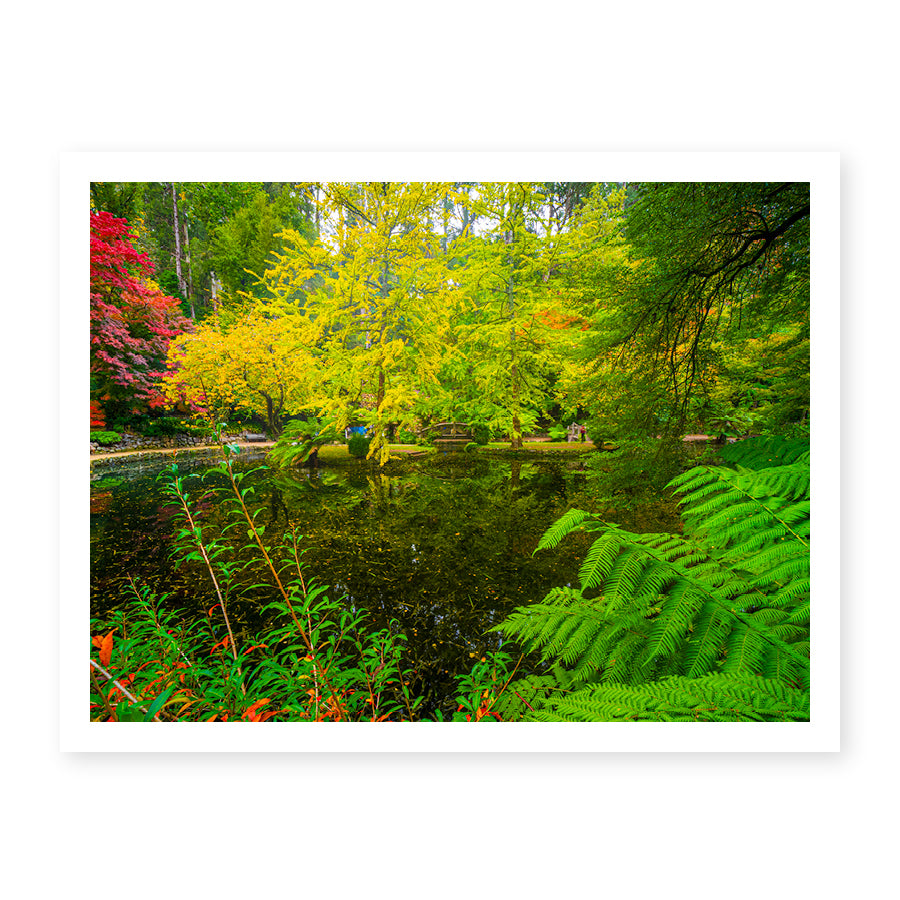 Alfred Nicholas Memorial Garden