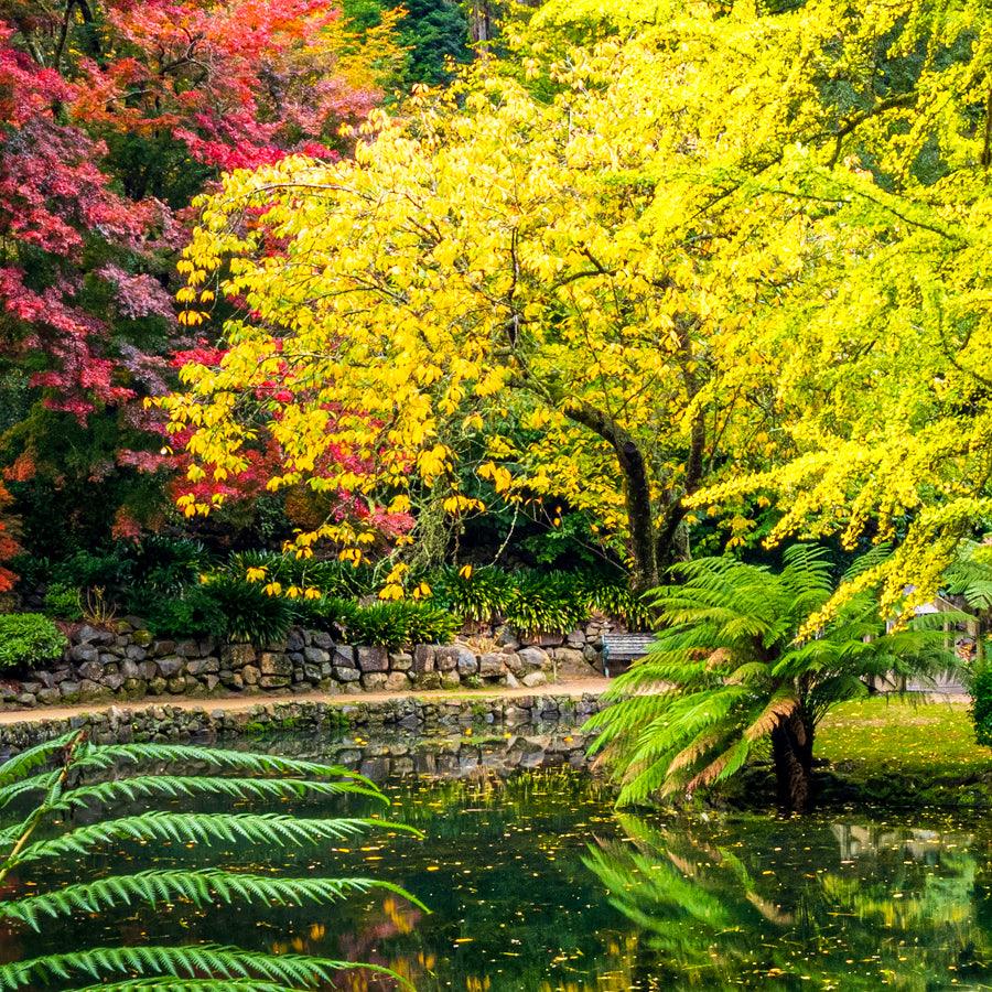 Alfred Nicholas Memorial Garden