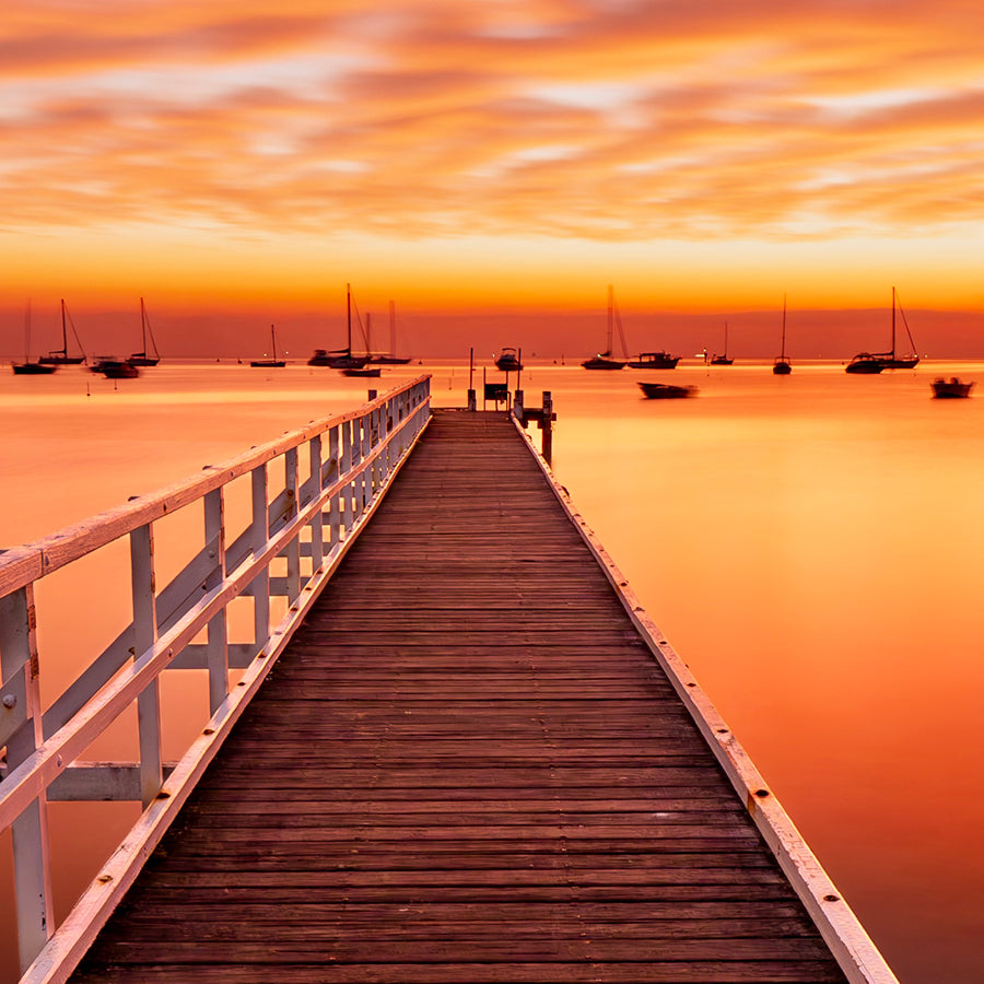 Camerons Bight Jetty Blairgowrie