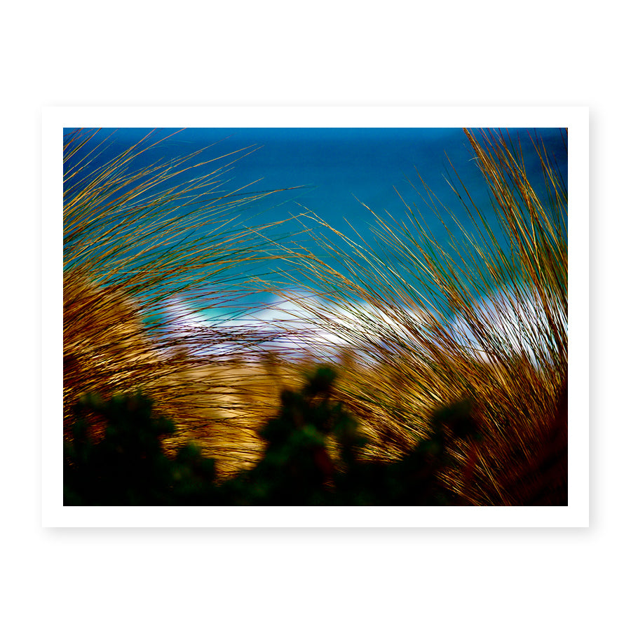 Ocean Beach Dunes