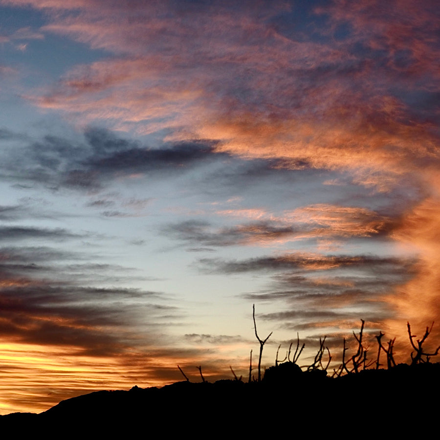 Sunset, Spray Point